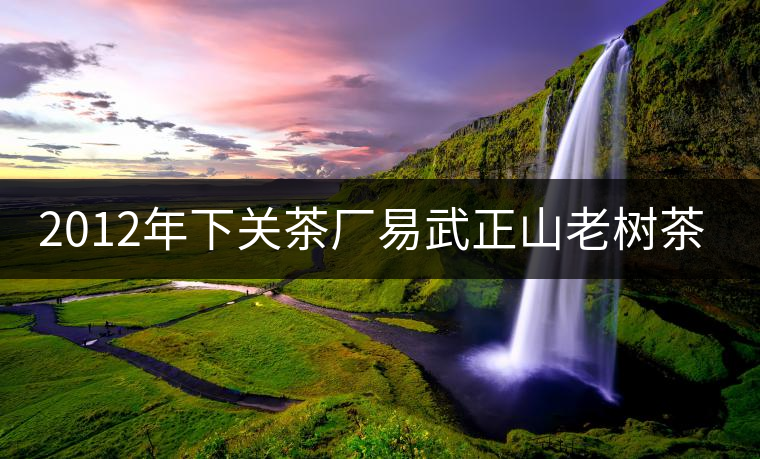 2012年下關(guān)茶廠易武正山老樹茶開湯品鑒 2012年下關(guān)茶廠易武正山老樹茶開湯品鑒