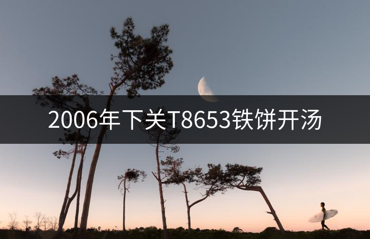 2006年下關(guān)T8653鐵餅開湯 2006年下關(guān)T8653鐵餅開湯