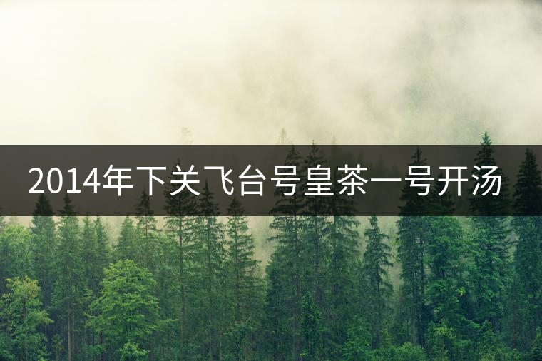2014年下關(guān)飛臺號皇茶一號開湯品鑒 2014年下關(guān)飛臺號皇茶一號開湯品鑒