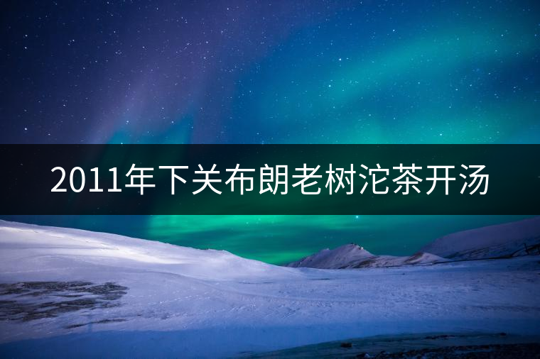 2011年下關(guān)布朗老樹(shù)沱茶開(kāi)湯