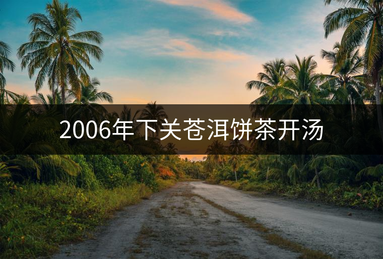 2006年下關(guān)蒼洱餅茶開(kāi)湯