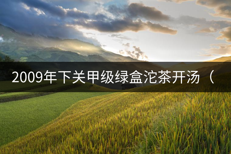 2009年下關(guān)甲級綠盒沱茶開湯(圖閱) 2009年下關(guān)甲級綠盒沱茶開湯(圖閱)