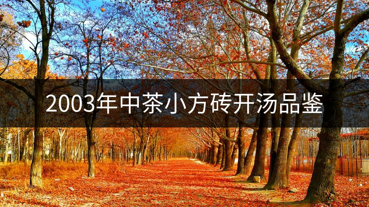 2003年中茶小方磚開湯品鑒 2003年中茶小方磚開湯品鑒