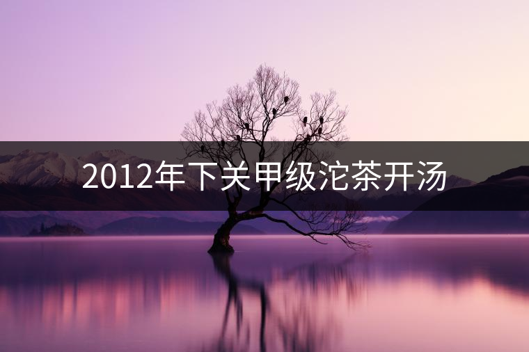 2012年下關(guān)甲級(jí)沱茶開湯 2012年下關(guān)甲級(jí)沱茶開湯