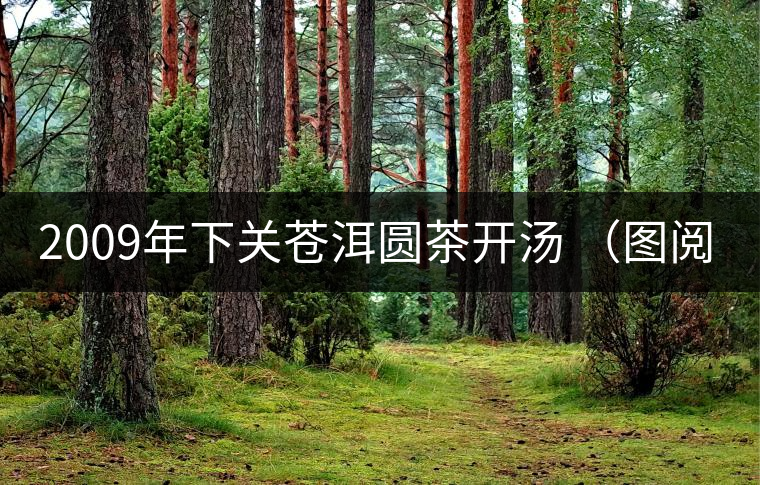 2009年下關蒼洱圓茶開湯 （圖閱）