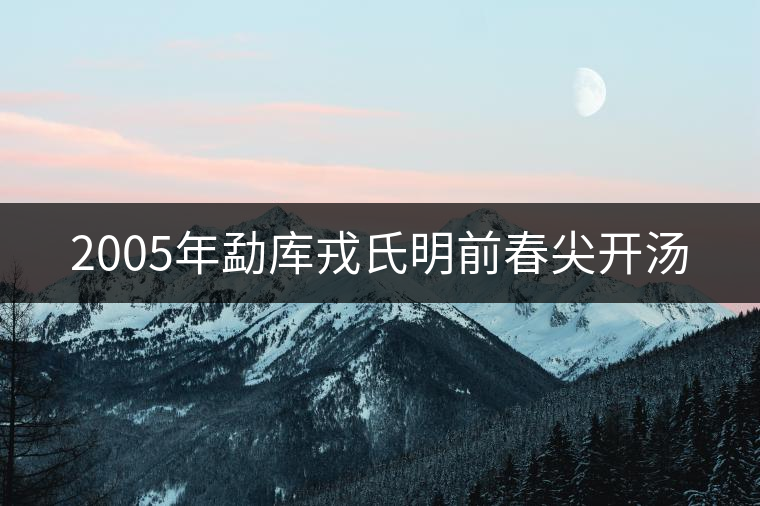 2005年勐庫戎氏明前春尖開湯 2005年勐庫戎氏明前春尖開湯