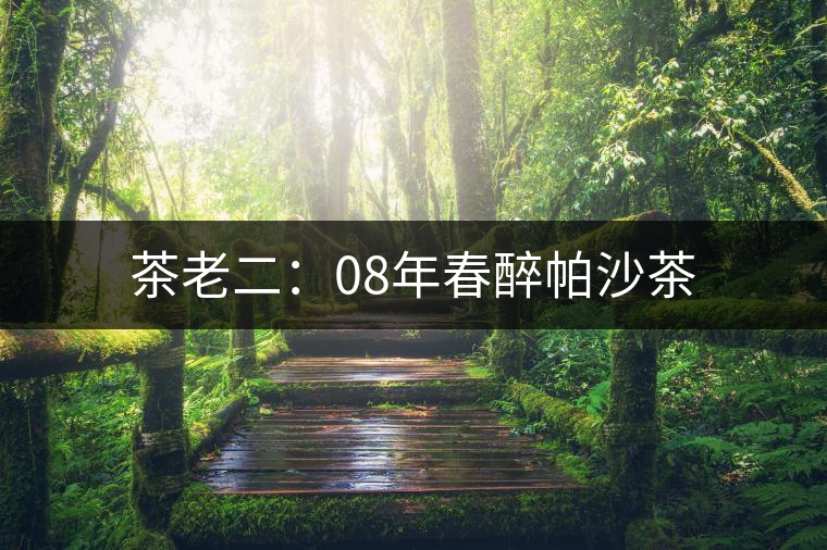 茶老二:08年春醉帕沙茶 茶老二:08年春醉帕沙茶