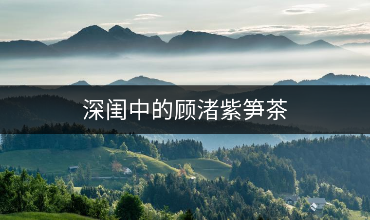 深閨中的顧渚紫筍茶 深閨中的顧渚紫筍茶