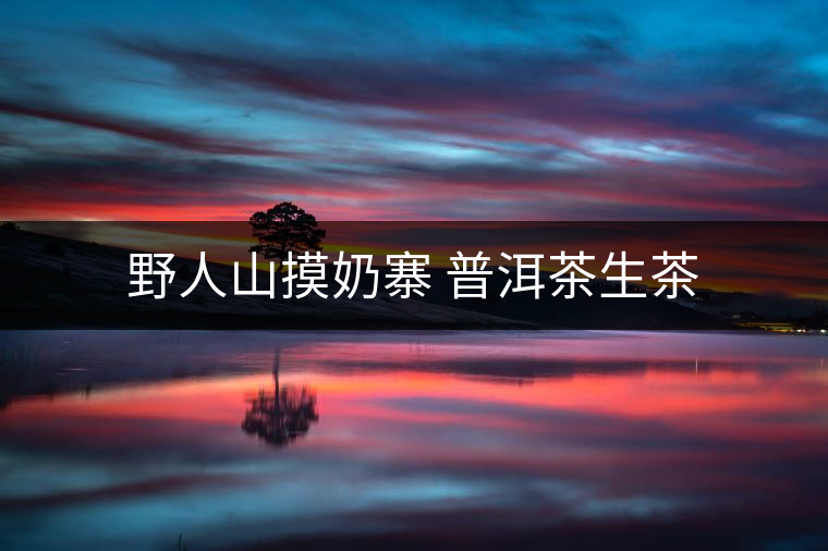 野人山摸奶寨 普洱茶生茶 野人山摸奶寨 普洱茶生茶