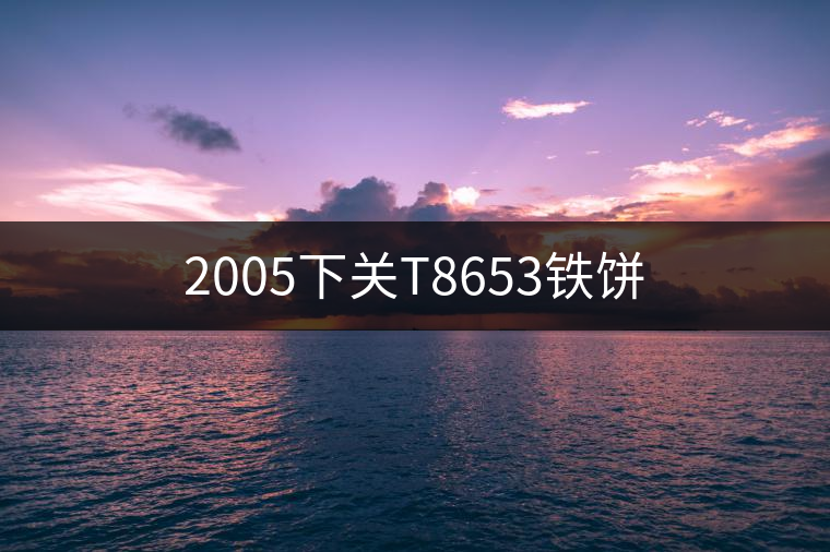 2005下關(guān)T8653鐵餅