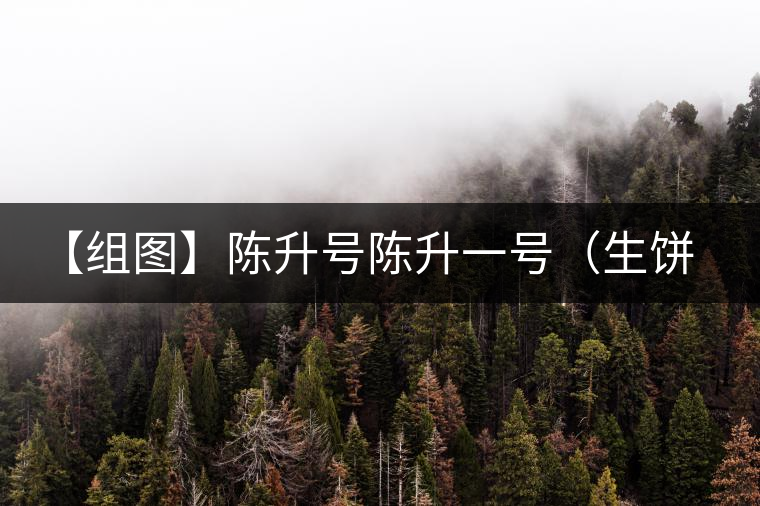 【組圖】陳升號(hào)陳升一號(hào)(生餅)開湯 【組圖】陳升號(hào)陳升一號(hào)(生餅)開湯
