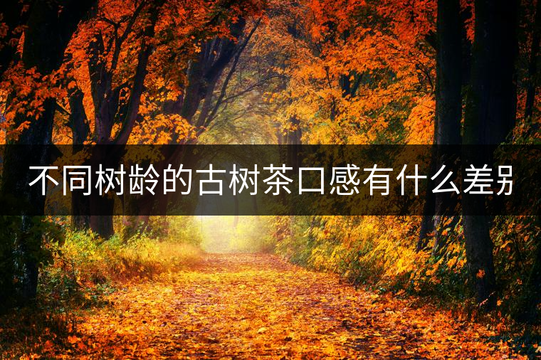 不同樹(shù)齡的古樹(shù)茶口感有什么差別？