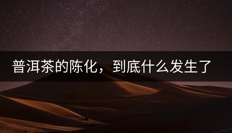 普洱茶的陳化，到底什么發(fā)生了哪些變化？