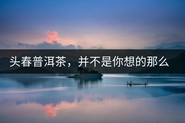 頭春普洱茶，并不是你想的那么好