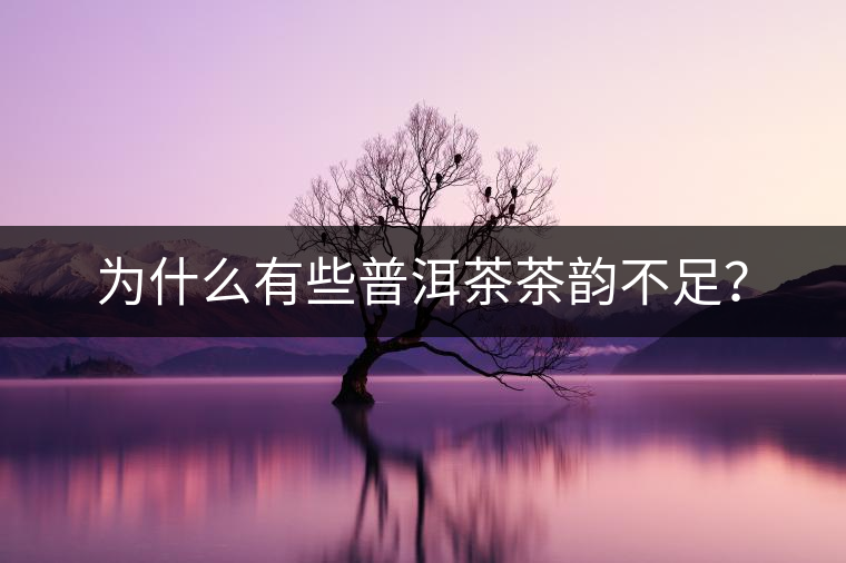 為什么有些普洱茶茶韻不足？
