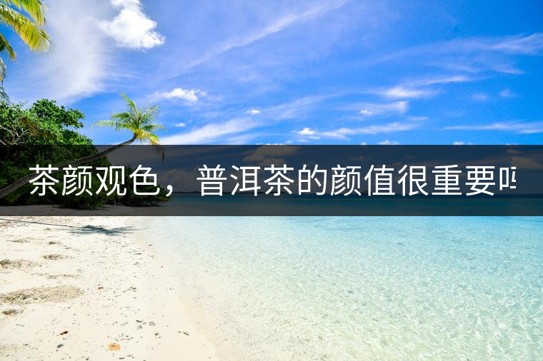 茶顏觀色，普洱茶的顏值很重要嗎？