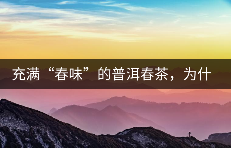 充滿(mǎn)“春味”的普洱春茶，為什么值得期待？