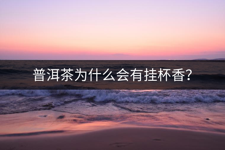 普洱茶為什么會(huì)有掛杯香？