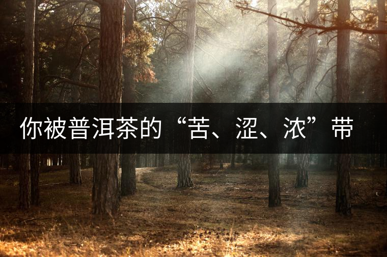 你被普洱茶的“苦、澀、濃”帶入“歧途”了嗎？