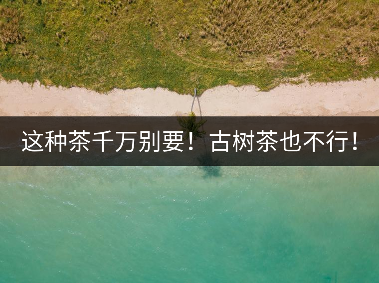這種茶千萬別要！古樹茶也不行！