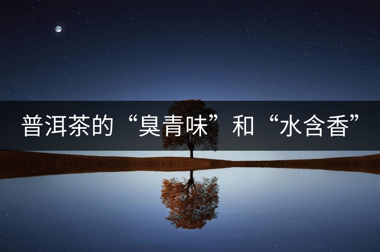 普洱茶的“臭青味”和“水含香” 普洱茶的“臭青味”和“水含香”