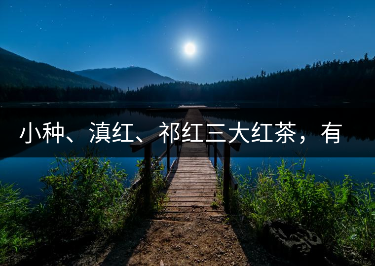 小種、滇紅、祁紅三大紅茶，有何區(qū)別