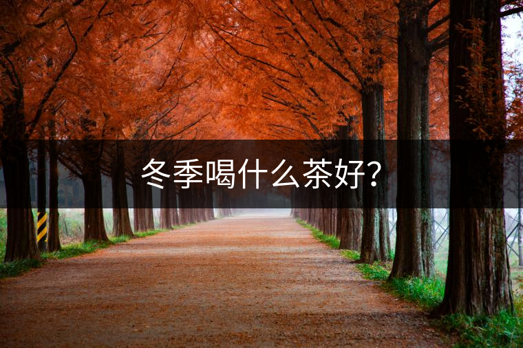 冬季喝什么茶好？