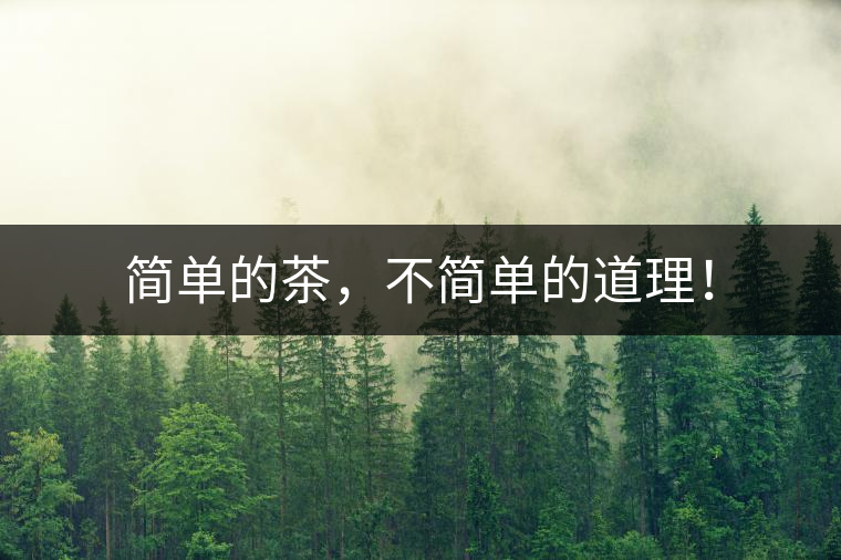 簡單的茶，不簡單的道理！