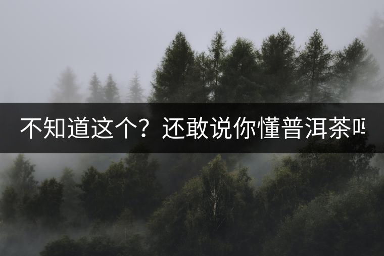 不知道這個(gè)？還敢說你懂普洱茶嗎？