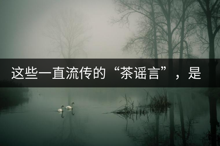 這些一直流傳的“茶謠言”，是時候知道真相了