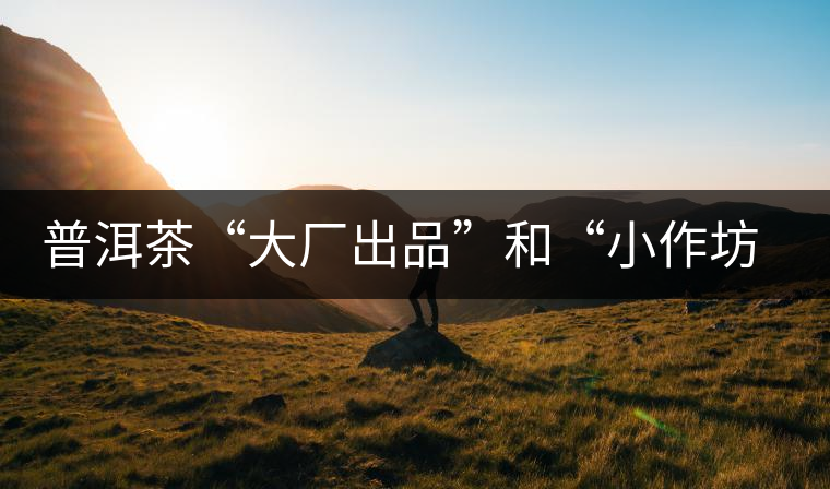 普洱茶“大廠出品”和“小作坊”，哪一個(gè)更值得購(gòu)買(mǎi)？