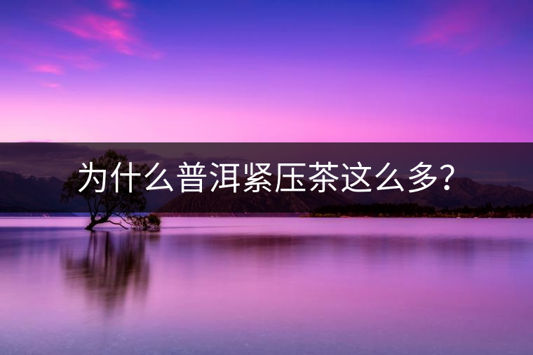 為什么普洱緊壓茶這么多？