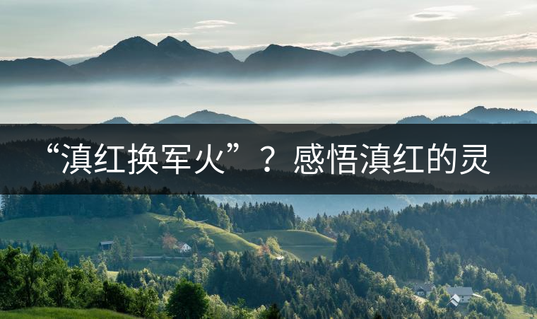 “滇紅換軍火”？感悟滇紅的靈與性！