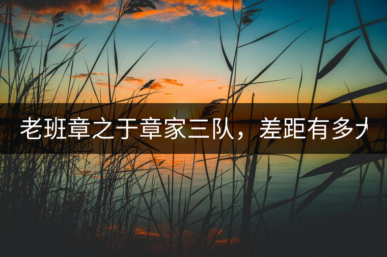 老班章之于章家三隊(duì)，差距有多大？