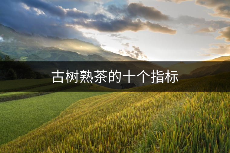 古樹(shù)熟茶的十個(gè)指標(biāo) 古樹(shù)熟茶的十個(gè)指標(biāo)