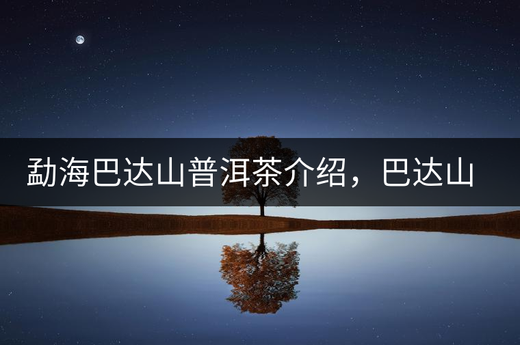 勐海巴達(dá)山普洱茶介紹，巴達(dá)山古樹茶口感特點(diǎn)