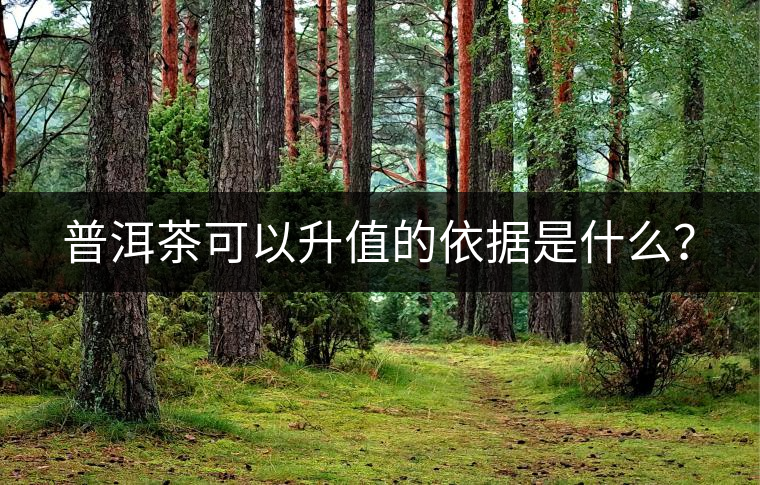 普洱茶可以升值的依據(jù)是什么？