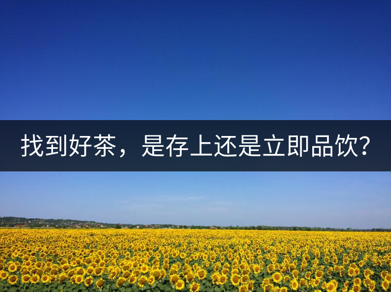 找到好茶，是存上還是立即品飲？