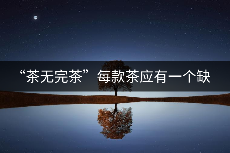 “茶無完茶”每款茶應有一個缺點！