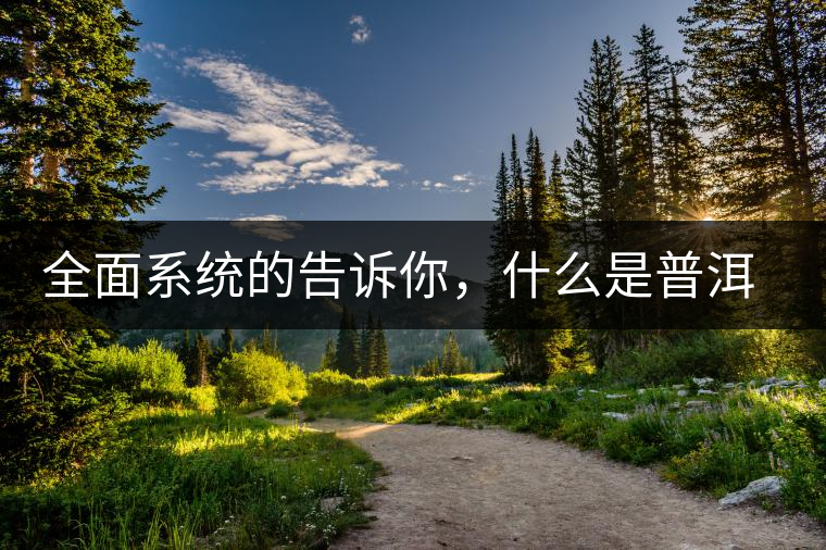 全面系統(tǒng)的告訴你，什么是普洱茶