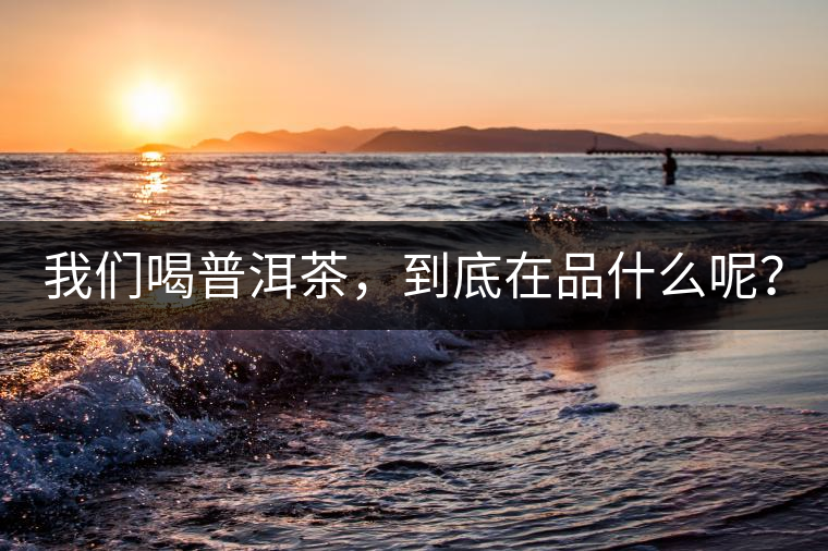 我們喝普洱茶，到底在品什么呢？