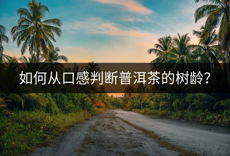 如何從口感判斷普洱茶的樹齡? 如何從口感判斷普洱茶的樹齡?