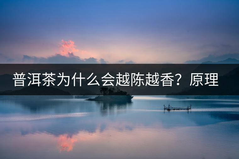 普洱茶為什么會越陳越香？原理是什么？