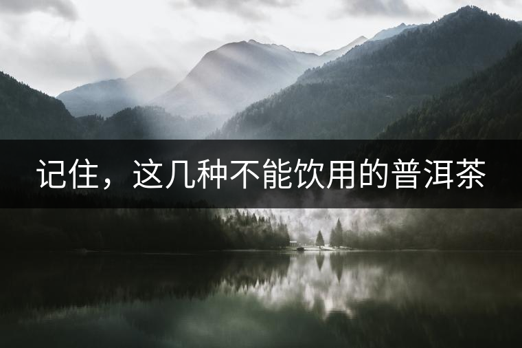 記住，這幾種不能飲用的普洱茶