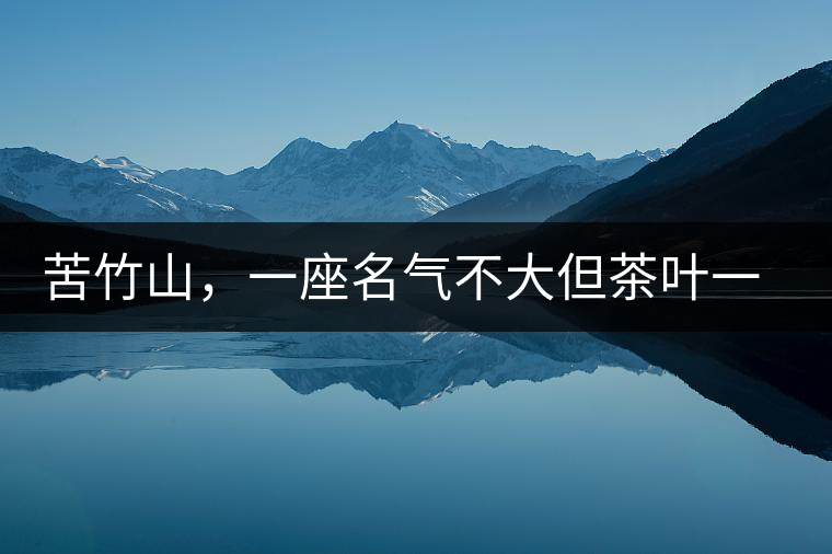 苦竹山，一座名氣不大但茶葉一流的古茶山