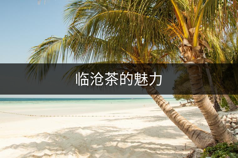 臨滄茶的魅力 臨滄茶的魅力