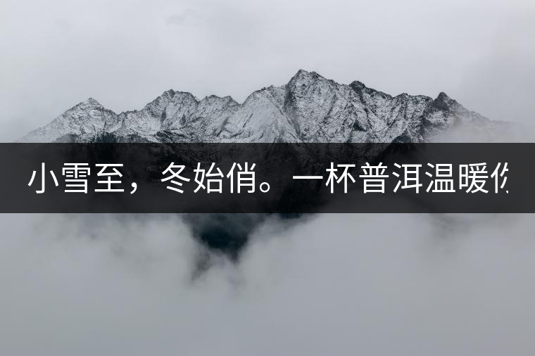小雪至，冬始俏。一杯普洱溫暖你的冬天！