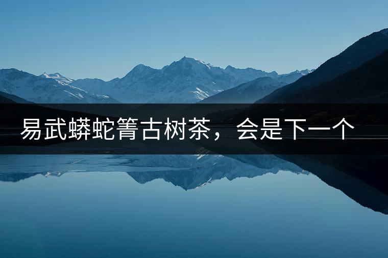 易武蟒蛇箐古樹茶，會(huì)是下一個(gè)銅箐河嗎？