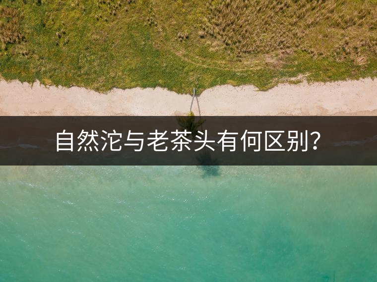 自然沱與老茶頭有何區(qū)別？