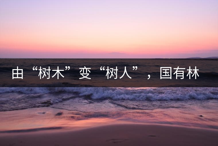 由“樹(shù)木”變“樹(shù)人”，國(guó)有林普洱茶為什么越來(lái)越受歡迎？
